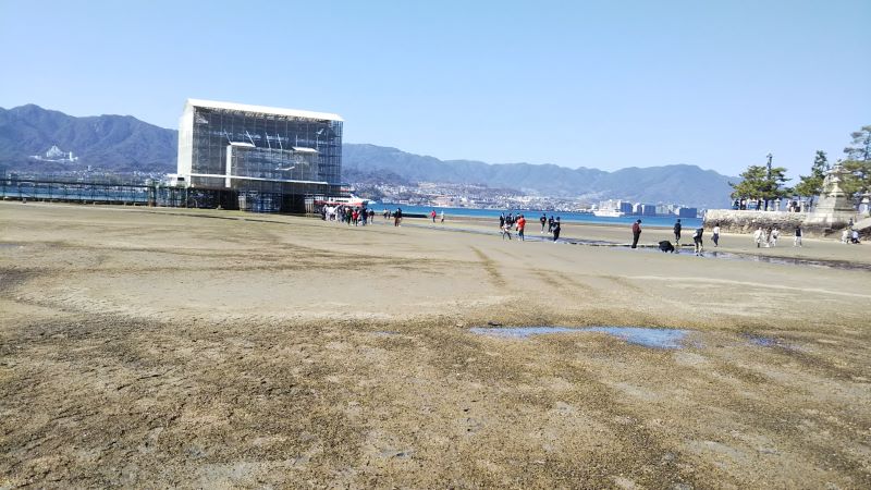 The Great Torii of Itsukushima Shrine under renovation at low tide